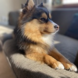 Entry image for Benny