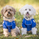 Entry image for Benjamin & Billy