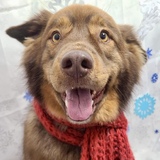 Entry image for Winston