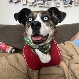 Entry image for X-Ray (Exxy)