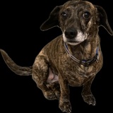 Entry image for Nikki 