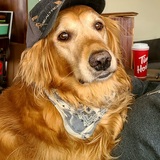 Entry image for Dezl 