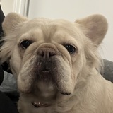 Entry image for Luna