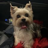 Entry image for Rito