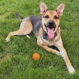 Entry image for Cali