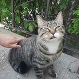 Entry image for Fruitloops