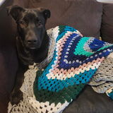 Entry image for Turkey