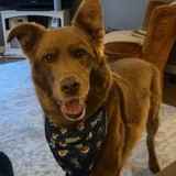 Entry image for Lenny