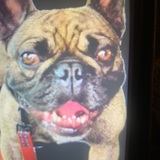 Entry image for Omar