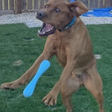 Entry image for Sherlock 