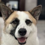 Entry image for Reed