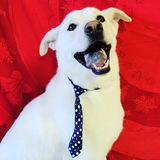 Entry image for Winter