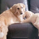 Entry image for Ruby Tuesday 