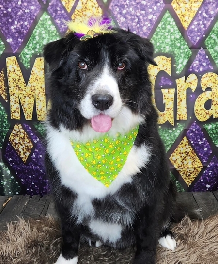 Entry image for Jean. Clicking this image will show a larger photo