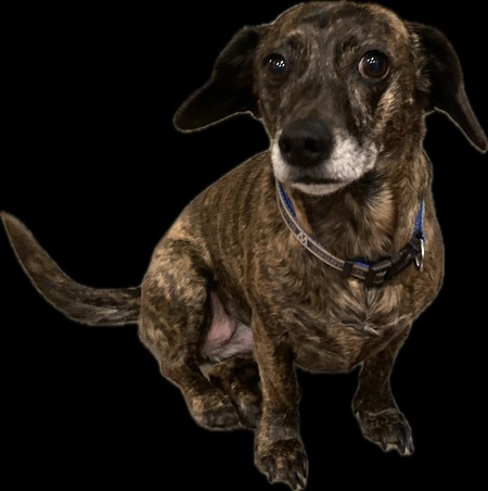 Entry image for Nikki . Clicking this image will show a larger photo