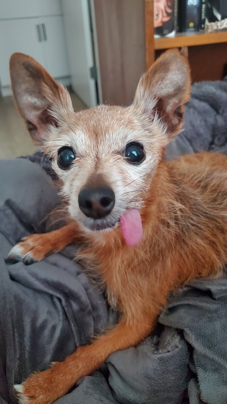 Entry image for Ruby. Clicking this image will show a larger photo