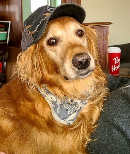 Entry image for Dezl. Clicking this image will show a larger photo