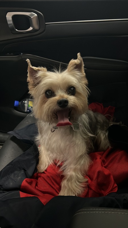 Entry image for Rito. Clicking this image will show a larger photo