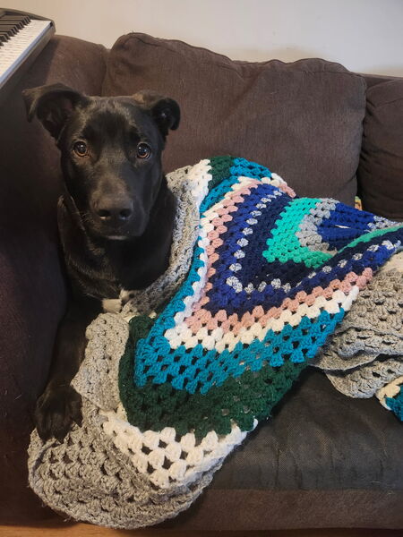 Entry image for Turkey. Clicking this image will show a larger photo