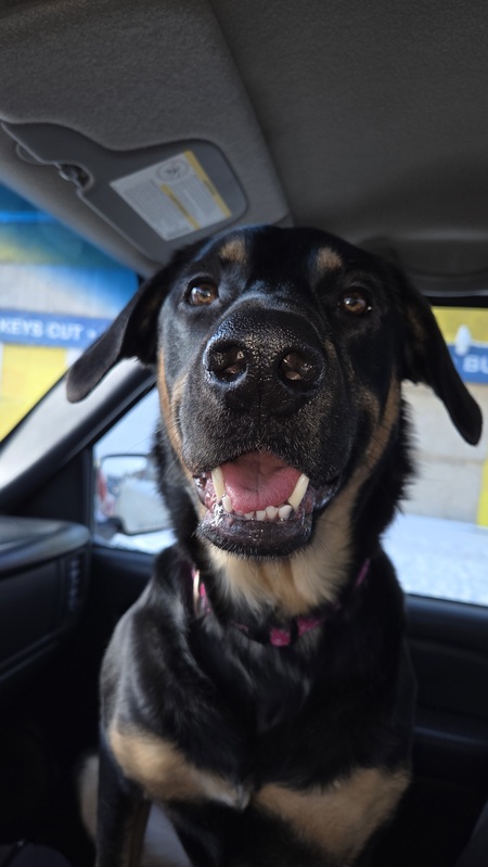 Entry image for Journey . Clicking this image will show a larger photo