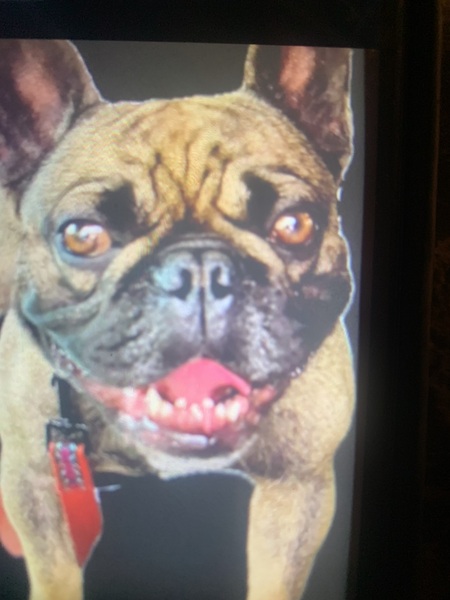 Entry image for Omar. Clicking this image will show a larger photo