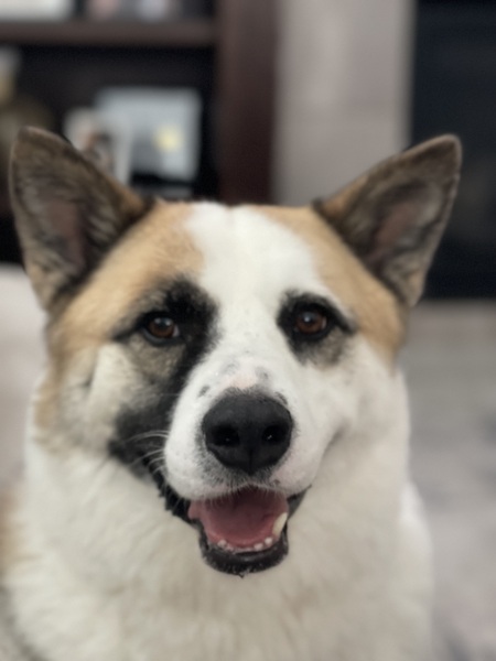 Entry image for Reed. Clicking this image will show a larger photo