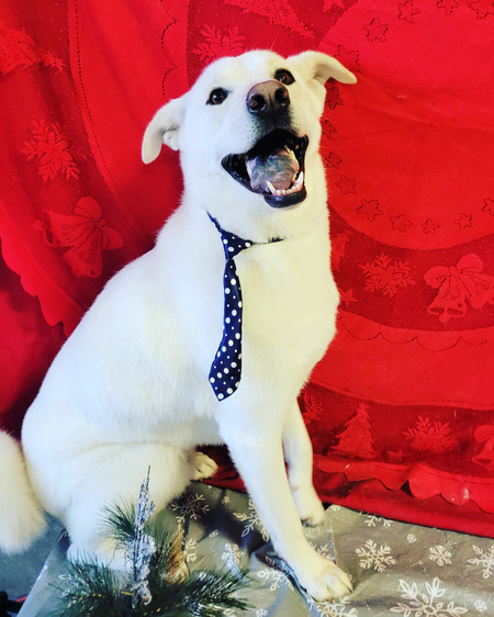 Entry image for Winter. Clicking this image will show a larger photo