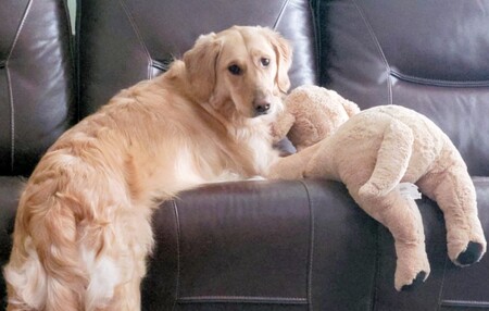 Entry image for Ruby Tuesday . Clicking this image will show a larger photo