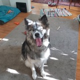 Entry image for Brewski