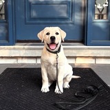 Entry image for Oakley