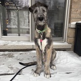 Entry image for Slainte