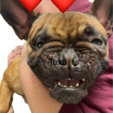 Entry image for Stuey