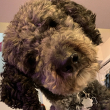 Entry image for Loki