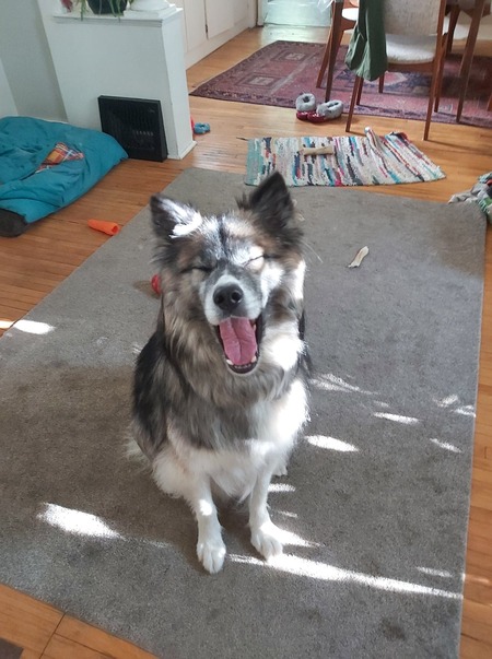 Entry image for Brewski. Clicking this image will show a larger photo