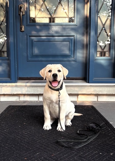 Entry image for Oakley. Clicking this image will show a larger photo