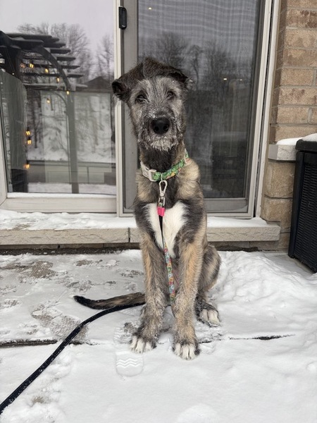 Entry image for Slainte. Clicking this image will show a larger photo