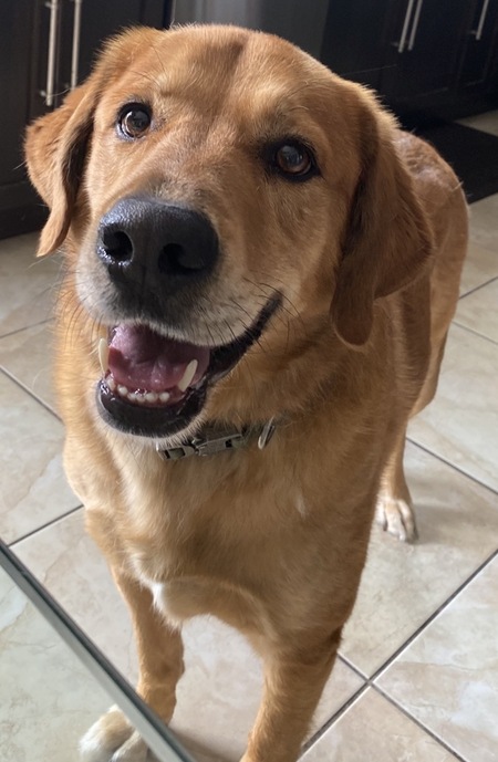 Entry image for Molson . Clicking this image will show a larger photo