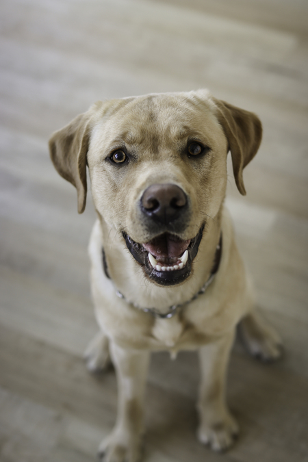 Entry image for Theodore. Clicking this image will show a larger photo