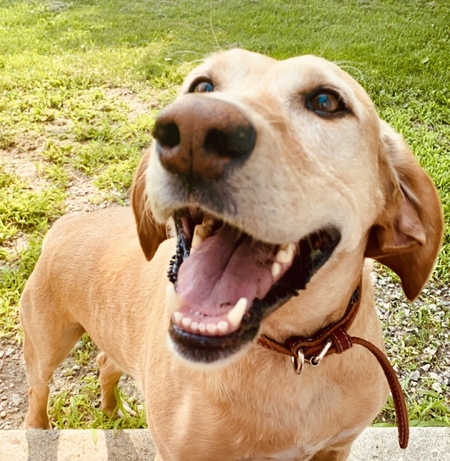 Entry image for Dale. Clicking this image will show a larger photo