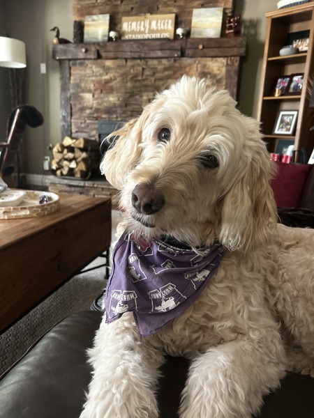 Entry image for Ellie. Clicking this image will show a larger photo