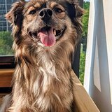 Entry image for Agnes