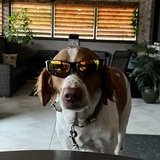 Entry image for Walter