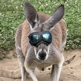 Entry image for Miss Olivia