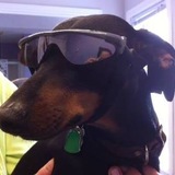 Entry image for Pretzel