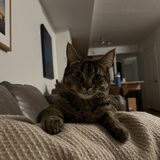 Entry image for Libby