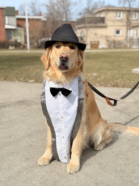 Entry image for Tom. Clicking this image will show a larger photo