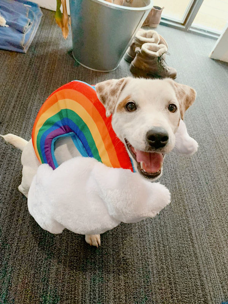 Entry image for Will Arnett. Clicking this image will show a larger photo