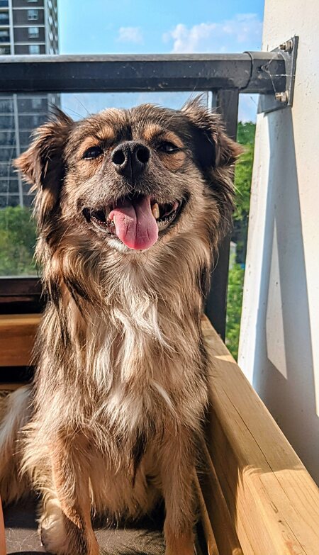 Entry image for Agnes. Clicking this image will show a larger photo