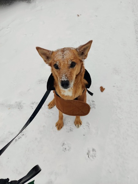 Entry image for Ali. Clicking this image will show a larger photo