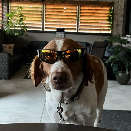 Entry image for Walter. Clicking this image will show a larger photo